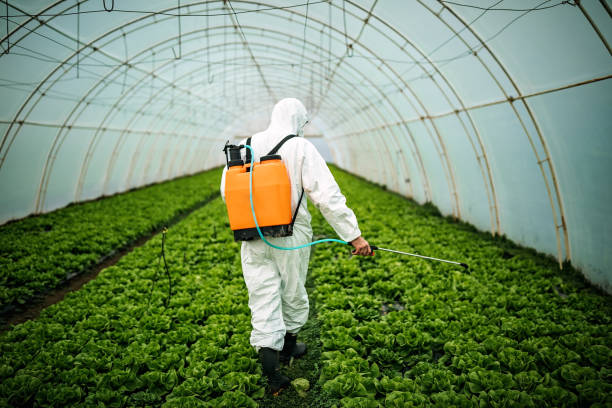 Best Best Pest Control Companies  in Sto Brook University, NY