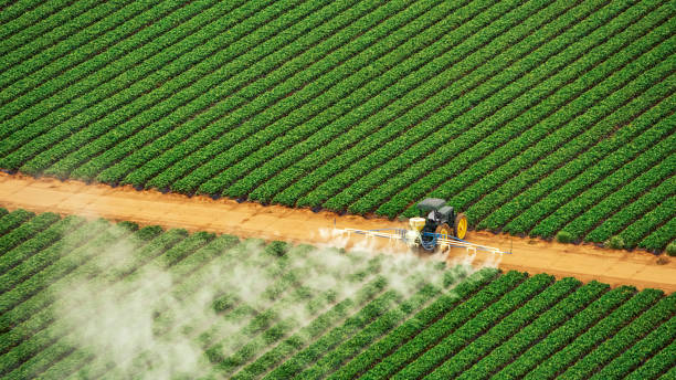 Best Pest Removal Services  in Sto Brook University, NY