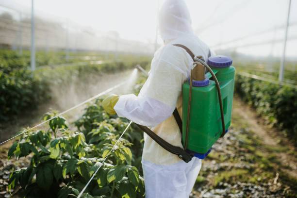 Pest Prevention Services in Stony Brook University, NY